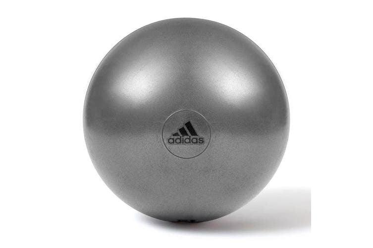 Buy Adidas Gym Ball with Pump Exercise Yoga Fitness Pilates Birthing Training 65cm discounted | Products On Sale Australia