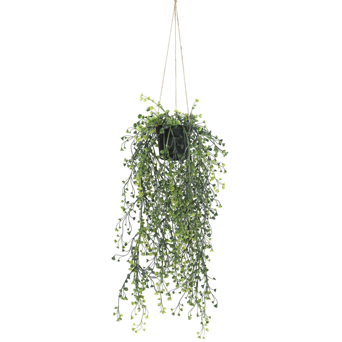 Buy Artificial Hanging Pearls (Potted) 56cm UV Resistant discounted | Products On Sale Australia