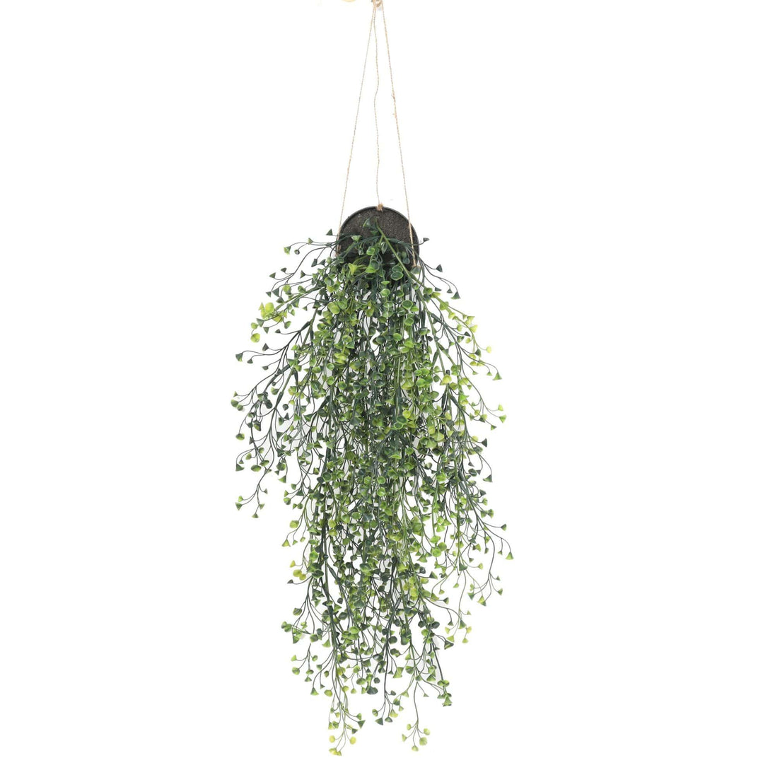 Buy Artificial Hanging Pearls (Potted) 56cm UV Resistant discounted | Products On Sale Australia