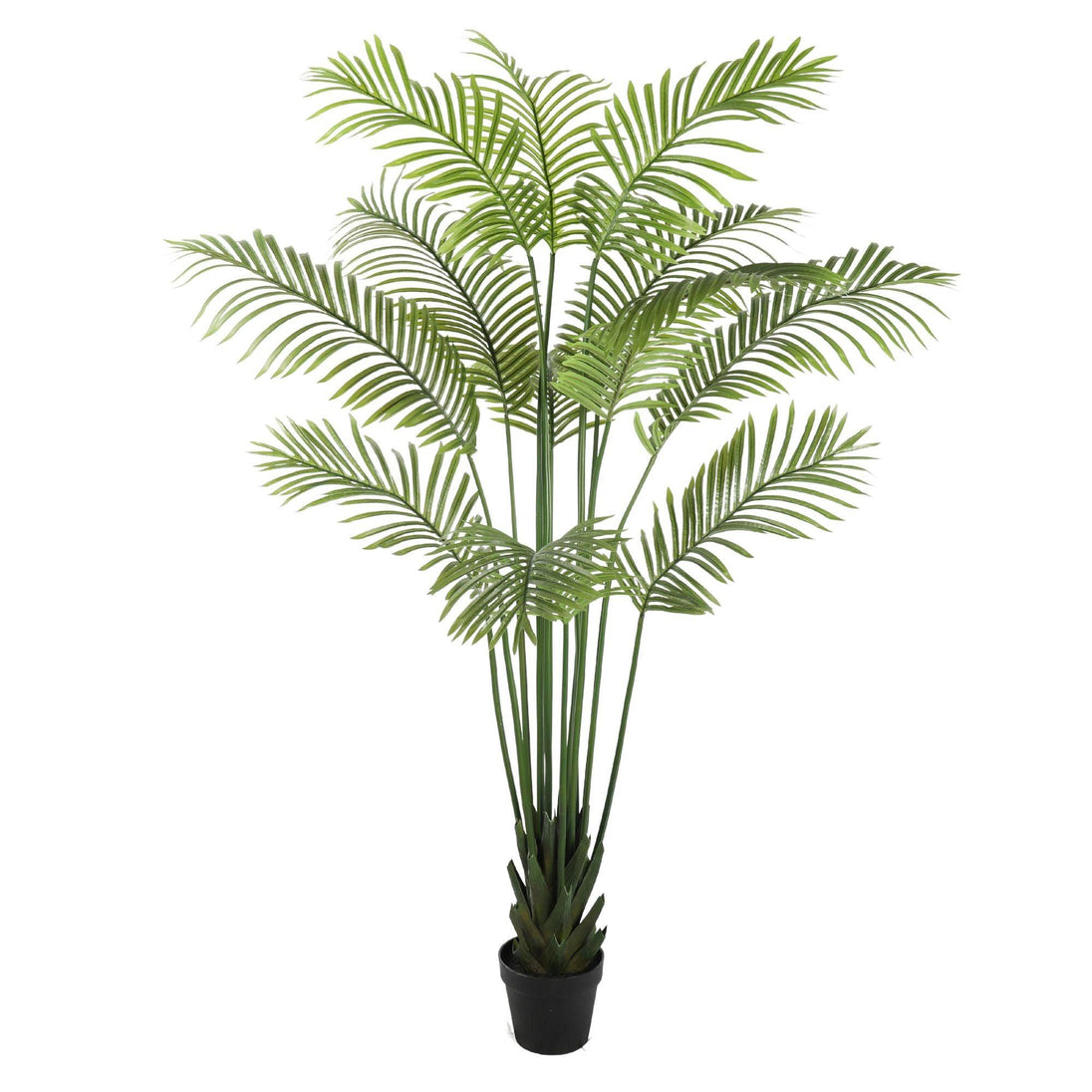 Buy Artificial Multi Stem Hawaii Palm 190cm discounted | Products On Sale Australia