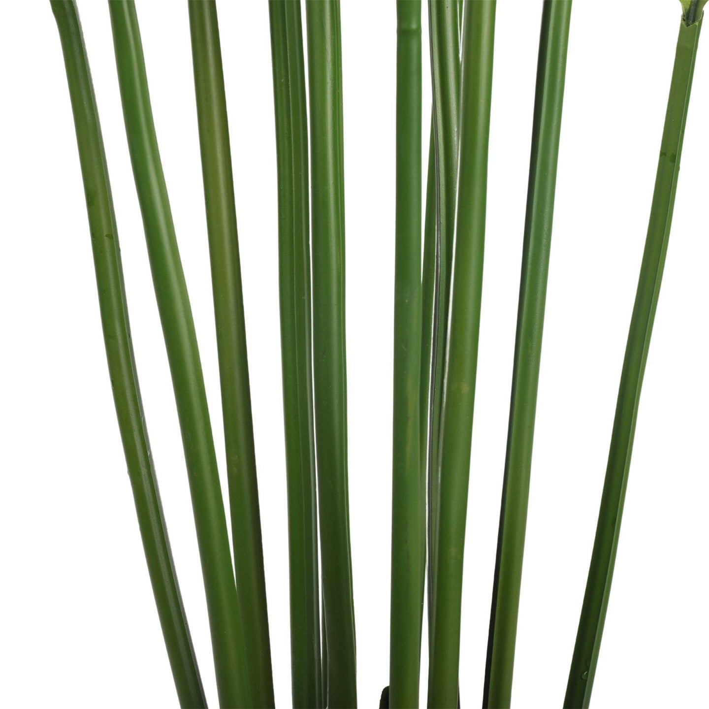 Buy Artificial Multi Stem Hawaii Palm 190cm discounted | Products On Sale Australia