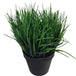 Buy Artificial Ornamental Potted Dense Green Grass UV Resistant 30cm (Overstock Clearance) discounted | Products On Sale Australia