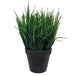 Buy Artificial Ornamental Potted Dense Green Grass UV Resistant 30cm (Overstock Clearance) discounted | Products On Sale Australia