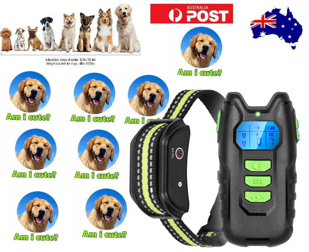 Buy Electric Pet Dog Training Anti Bark Collar Sound Vibrate Auto Rechargeable NEW discounted | Products On Sale Australia