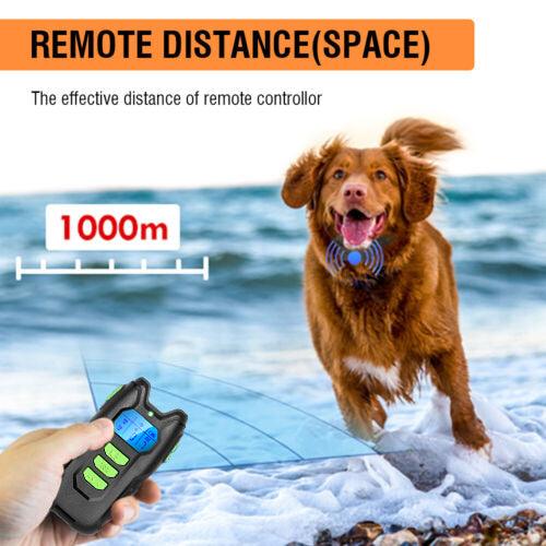 Buy Electric Pet Dog Training Anti Bark Collar Sound Vibrate Auto Rechargeable NEW discounted | Products On Sale Australia