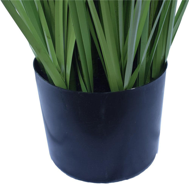 Buy Flowering Native Grass 120 cm discounted | Products On Sale Australia