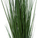 Buy Flowering Native Grass 120 cm discounted | Products On Sale Australia