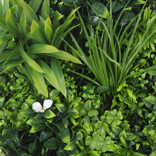 Buy Flowering White Artificial Green Wall Disc UV Resistant 50cm (White Frame) discounted | Products On Sale Australia