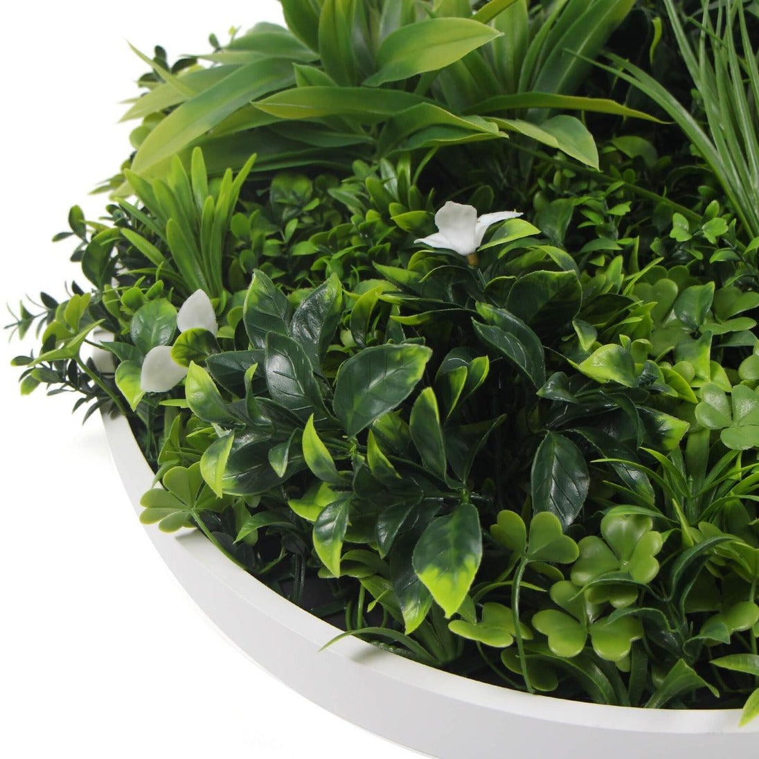 Buy Flowering White Artificial Green Wall Disc UV Resistant 50cm (White Frame) discounted | Products On Sale Australia