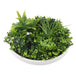 Buy Flowering White Artificial Green Wall Disc UV Resistant 50cm (White Frame) discounted | Products On Sale Australia