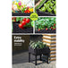 Buy Greenfingers Garden Bed 40x40x23cm PP Planter Box Raised Container Growing Herb discounted | Products On Sale Australia