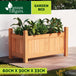 Buy Greenfingers Garden Bed 60x30x33cm Wooden Planter Box Raised Container Growing discounted | Products On Sale Australia