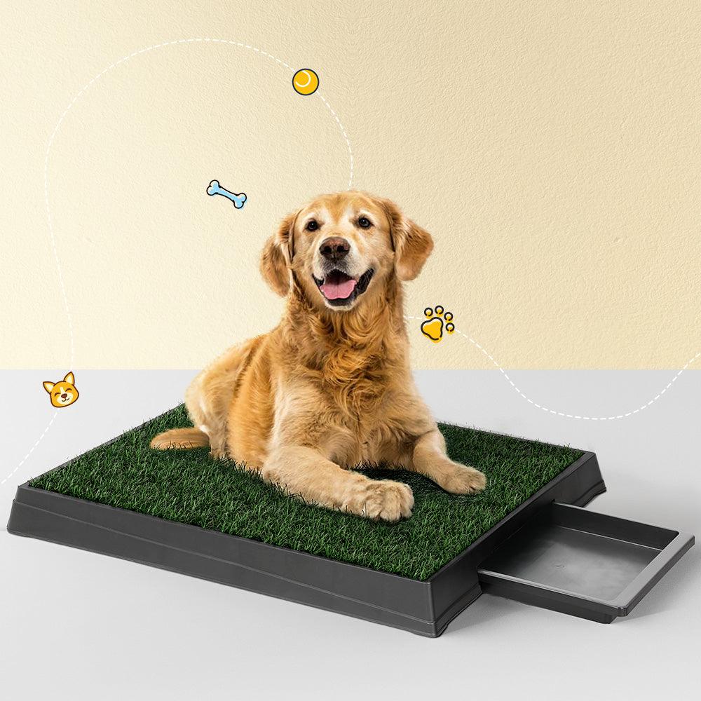 Buy i.Pet Pet Training Pad Dog Potty Toilet Large Loo Portable With Tray Grass Mat discounted | Products On Sale Australia