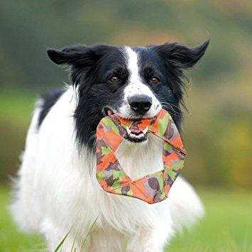 Buy Major Dog Flying Felix - Fetch Toy discounted | Products On Sale Australia