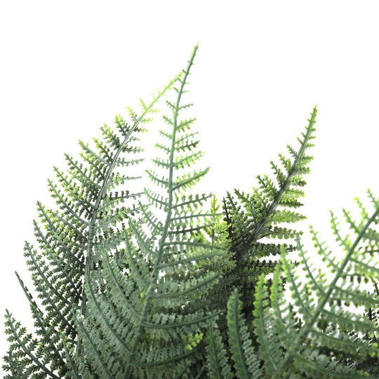 Buy Premium Artificial Australian Fern UV Resistant 60cm discounted | Products On Sale Australia