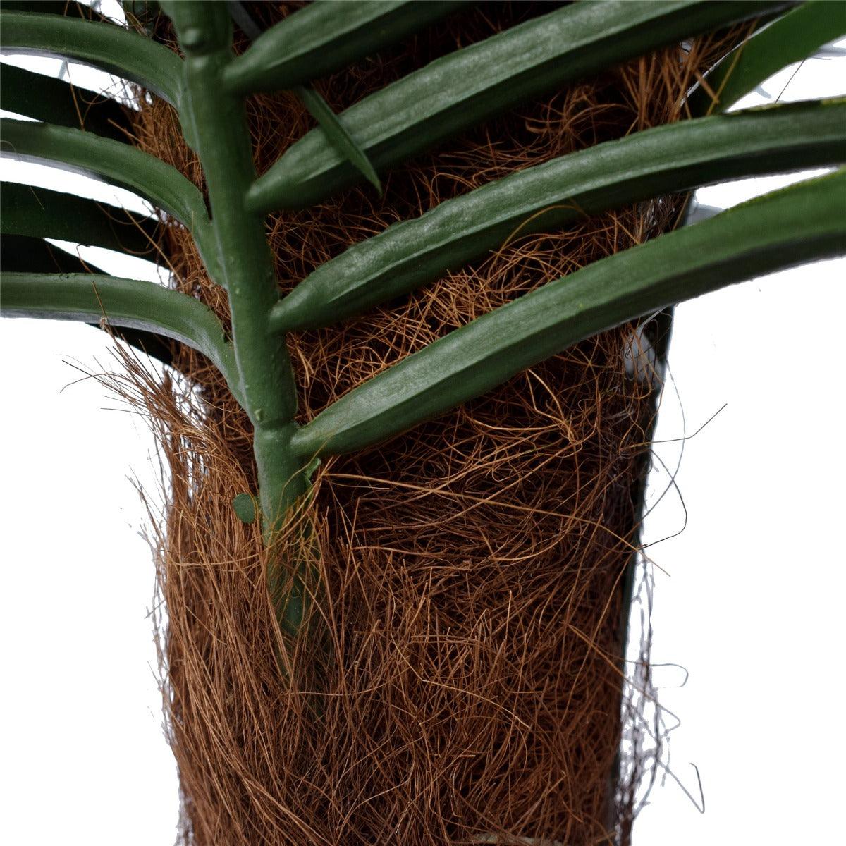 Buy Tropical Phoenix Palm Tree 170cm UV Resistant discounted | Products On Sale Australia